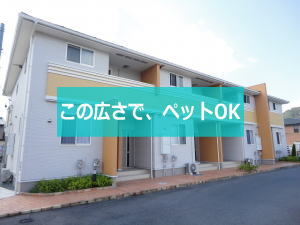 ミルアージュＣ