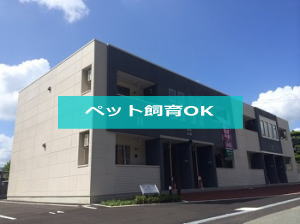 パルジェブランドール