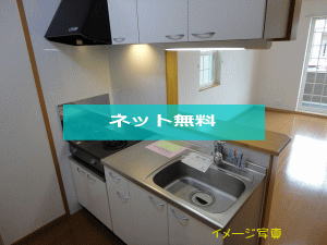 リジュール プラース A
