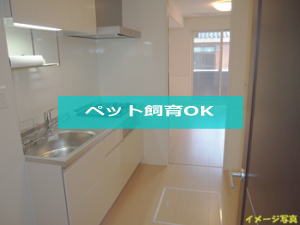 シャインシード湯田