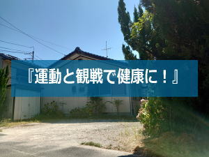 新公園売土地